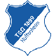 Logo: Hoffenheim