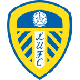 Logo: Leeds