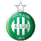 Logo: Saint Etienne